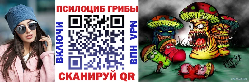 где продают наркотики  Кудымкар  Псилоцибиновые грибы Psilocybine cubensis 